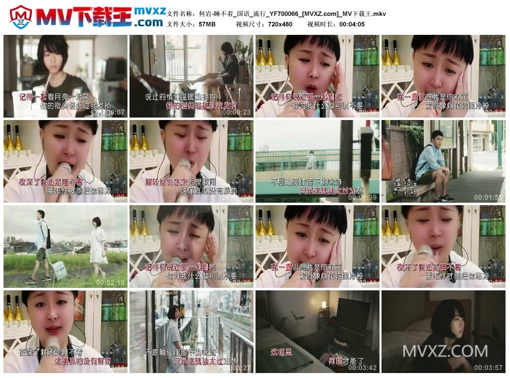 何岩-睡不着_国语_流行_YF700066